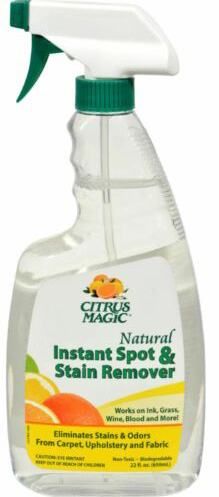 Instant Spot & Stain Remover 22 oz
