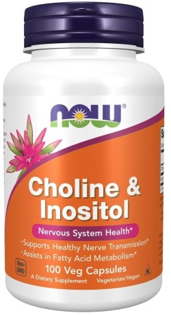 CHOLINE & INOSITOL 250/250MG 100 VCAPS 