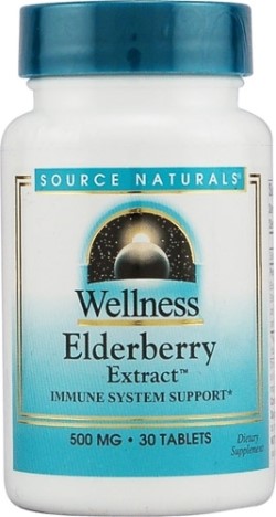 WELLNESS ELDERBERRY EXTRAC 500MG 30 TABLET