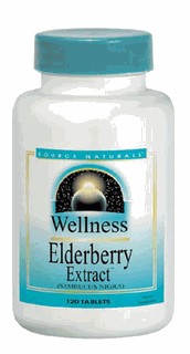 WELLNESS ELDERBERRY EXTRAC 500MG 60 TABLET