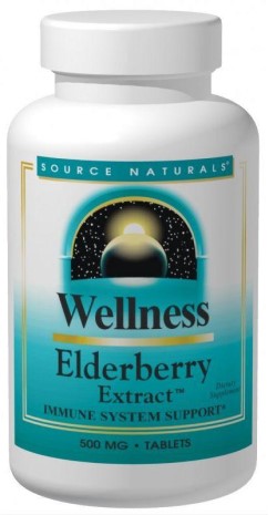 WELLNESS ELDERBERRY EXTRAC 500MG 120 TABLET