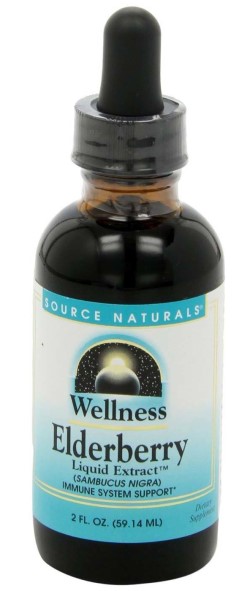 WELLNESS ELDERBERRY LIQUID EXTRAC 2 OZ