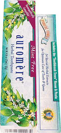 Toothpaste Mint-Free 4.16 ounce