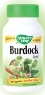 BURDOCK ROOT 100 CAPS
