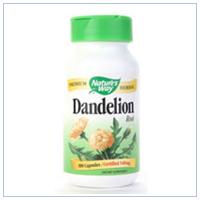 DANDELION ROOT 100 CAPS