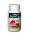 ECHINACEA HERB 100 CAPS