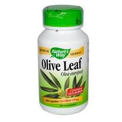 OLIVE LEAF HERBAL SINGLE 100 CAPS