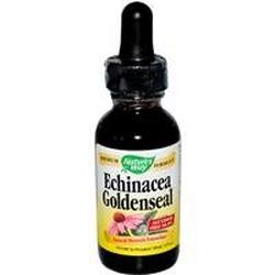 ECHINACEA-GOLDENSEAL EXTRACT W/GLYCERINE 1 FL OZ