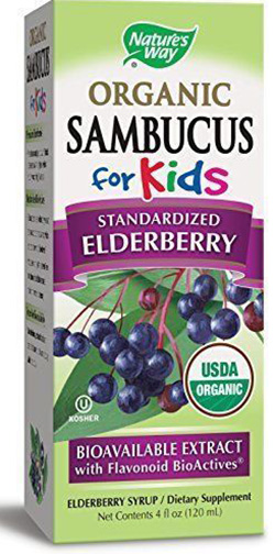 Sambucus for Kids Syrup Organic 4 oz