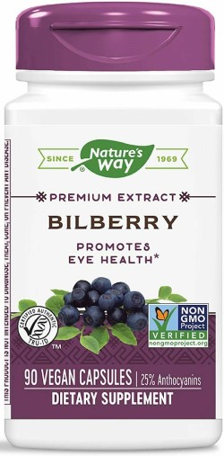 BILBERRY STANDARDIZED EXTRACT 90 CAPS