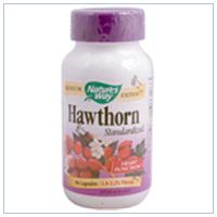 HAWTHORN STANDARDIZED EXTRACT 90 CAPS
