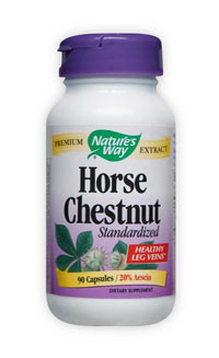 HORSECHESTNUT STANDARDIZED EXTRACT 90 CAPS