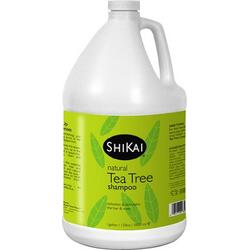 TEA TREE SHAMPOO 1 GAL