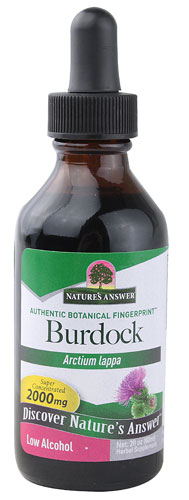 BURDOCK RT LOW/ALCOHOL 2 OZ