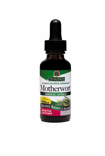 MOTHERWORT LOW/ALCOHOL 1 OZ