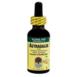 ASTRAGALUS ALCOHOL/FREE 1 OZ