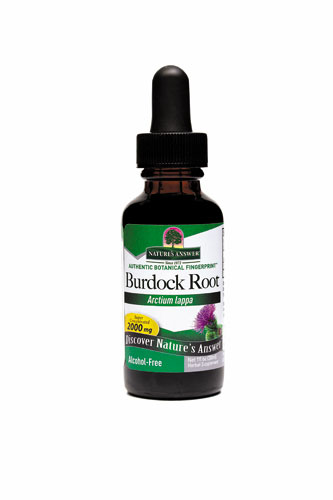 BURDOCK ROOT ALCOHOL/FREE 1 OZ