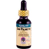 SAW PALMETTO BERRY ALCOHOL/FREE 1 OZ