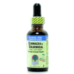 ECHINACEA/GOLDNSEAL ALCOHOL/FREE 1 OZ