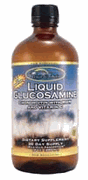 LIQUID GLUCOSAMINE/CHONDROITIN 16 OZ