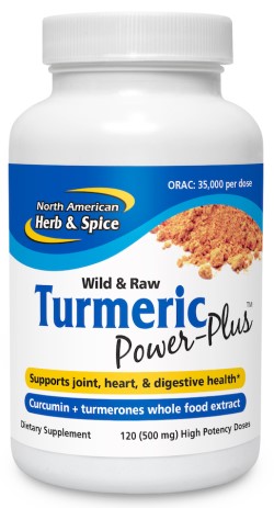 TURMERIC POWER PLUS 120 SOFTGEL