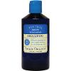 SHAMPOO TEA TREE MINT TREATMENT 14 OZ
