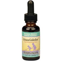 ECHINACEA/GOLDEN ROOT/ORANGE FLAVOR ALCOHOL-FREE 1 OZ