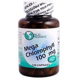 MEGA CHLOROPHYLL 100MG 120 CAP