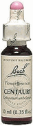 ESSENCE CENTAURY 20ML