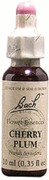 ESSENCE CHERRY PLUM 20ML