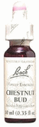ESSENCE CHESTNUT 20ML