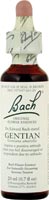 ESSENCE GENTIAN 20ML