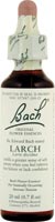 ESSENCE LARCH 20ML