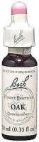 ESSENCE OAK 20ML