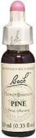 ESSENCE PINE 20ML