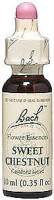 ESSENCE SWEET CHESTNUT 20ML