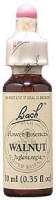 ESSENCE WALNUT 20ML