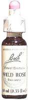 ESSENCE WILD ROSE 20ML