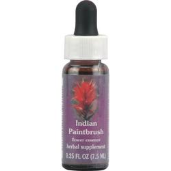 INDIAN PAINTBRUSH DROPPER 1 OZ