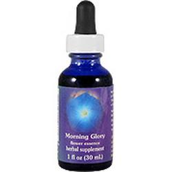 MORNING GLORY DROPPER 1 OZ