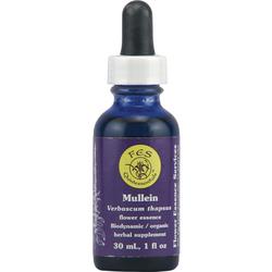 MULLEIN DROPPER 1 OZ