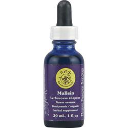 MULLEIN DROPPER 0.25 OZ