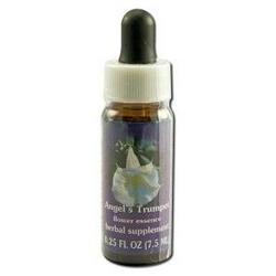ANGELS TRUMPET DROPPER 0.25 OZ