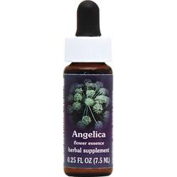 ANGELICA DROPPER 0.25 OZ
