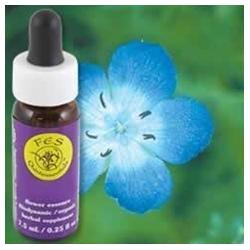 BABY BLUE EYES DROPPER 0.25 OZ