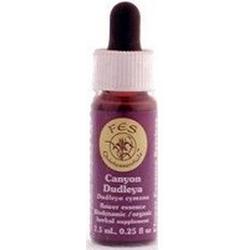 CANYON DUDLEYA DROPPER 0.25 OZ