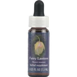 FAIRY LANTERN DROPPER 0.25 OZ