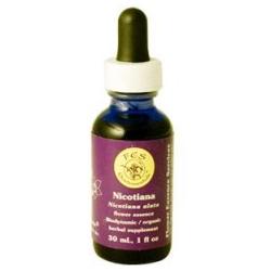 NICOTIANA DROPPER 0.25 OZ