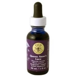 QUEEN ANNES LACE DROPPER 0.25 OZ