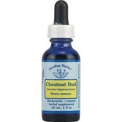 CHESTNUT BUD DROPPER 1 OZ